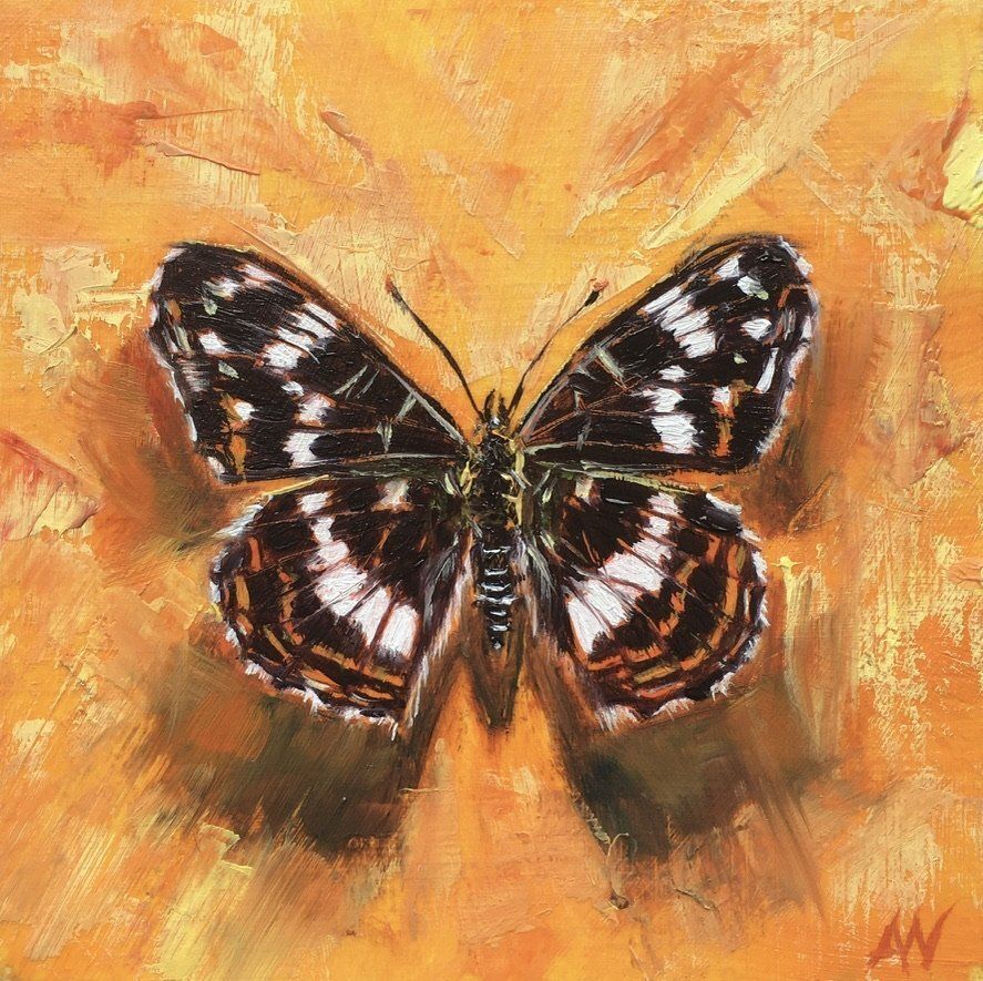 Butterfly with black, white, and brown patterned wings against an orange painted background.