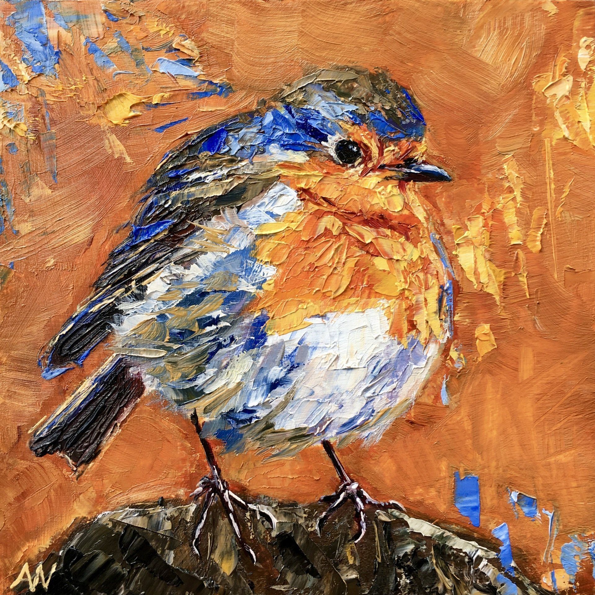 Fluffy robin with blue wings and orange breast perches on a rock, against an orange background.