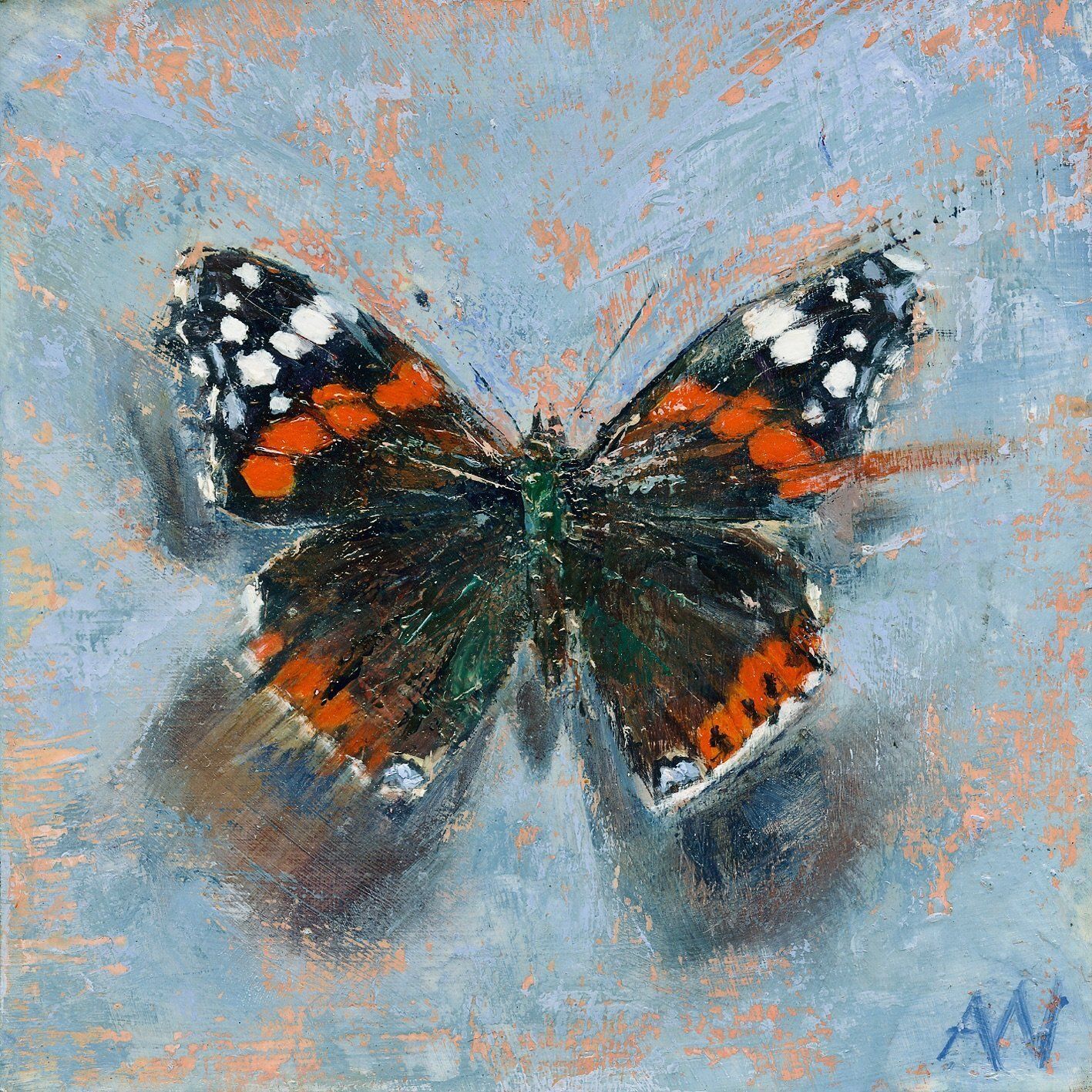 Butterfly with orange, white, and black wing patterns on a light blue-gray surface.