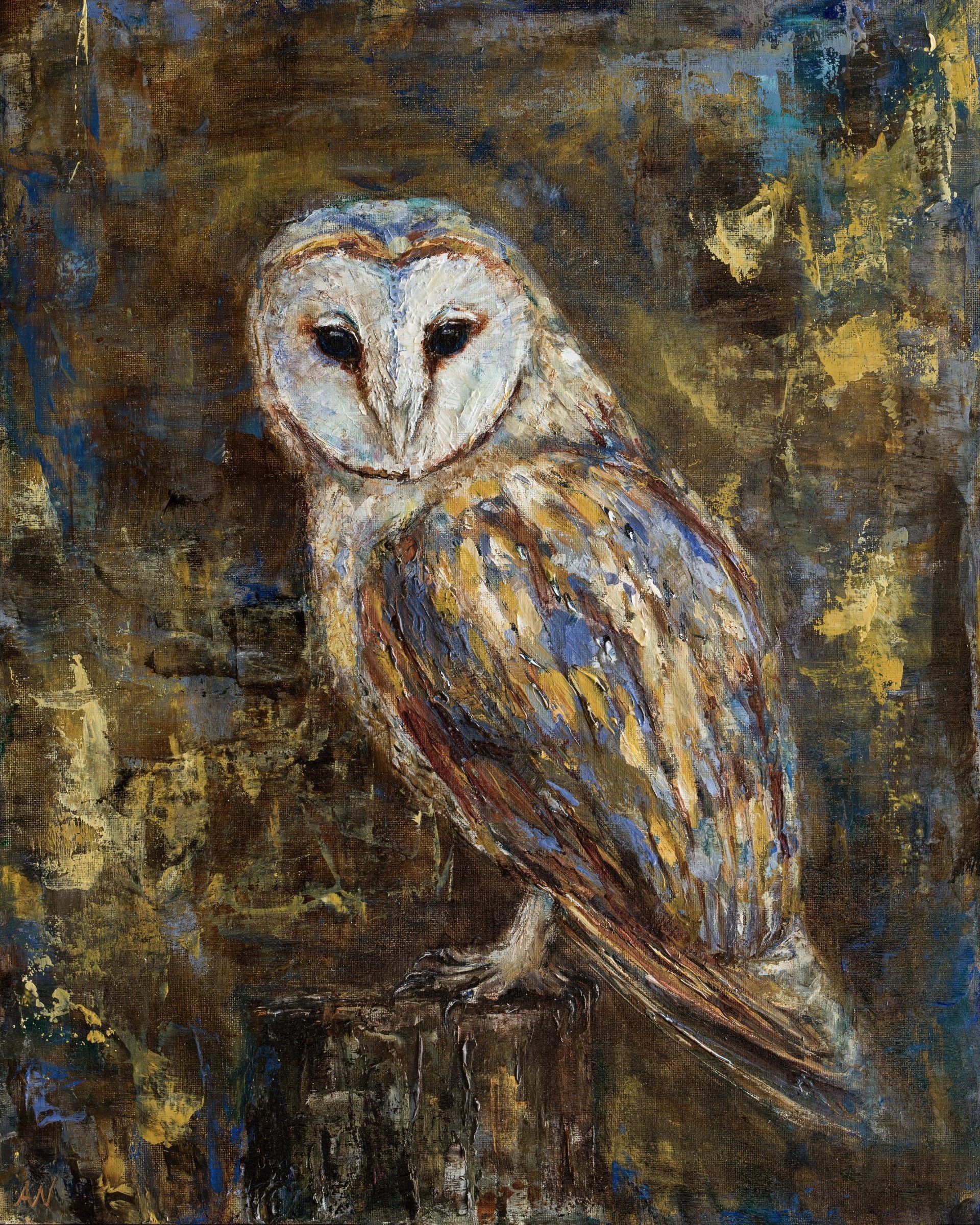 Barn owl perched on a tree stump, facing forward. White face, brown and gold feathers. Dark background.