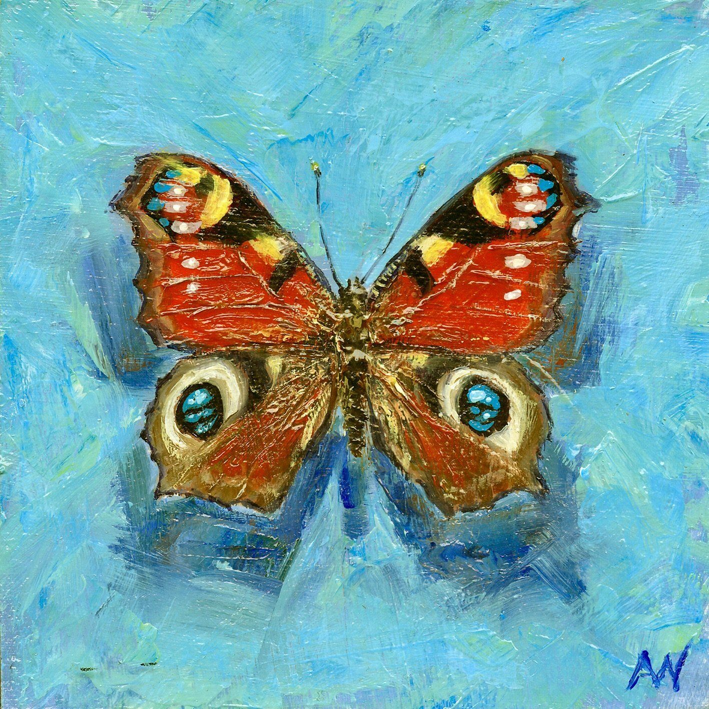 SET OF 5 ART CARDS | STINGING NETTLE BUTTERFLIES