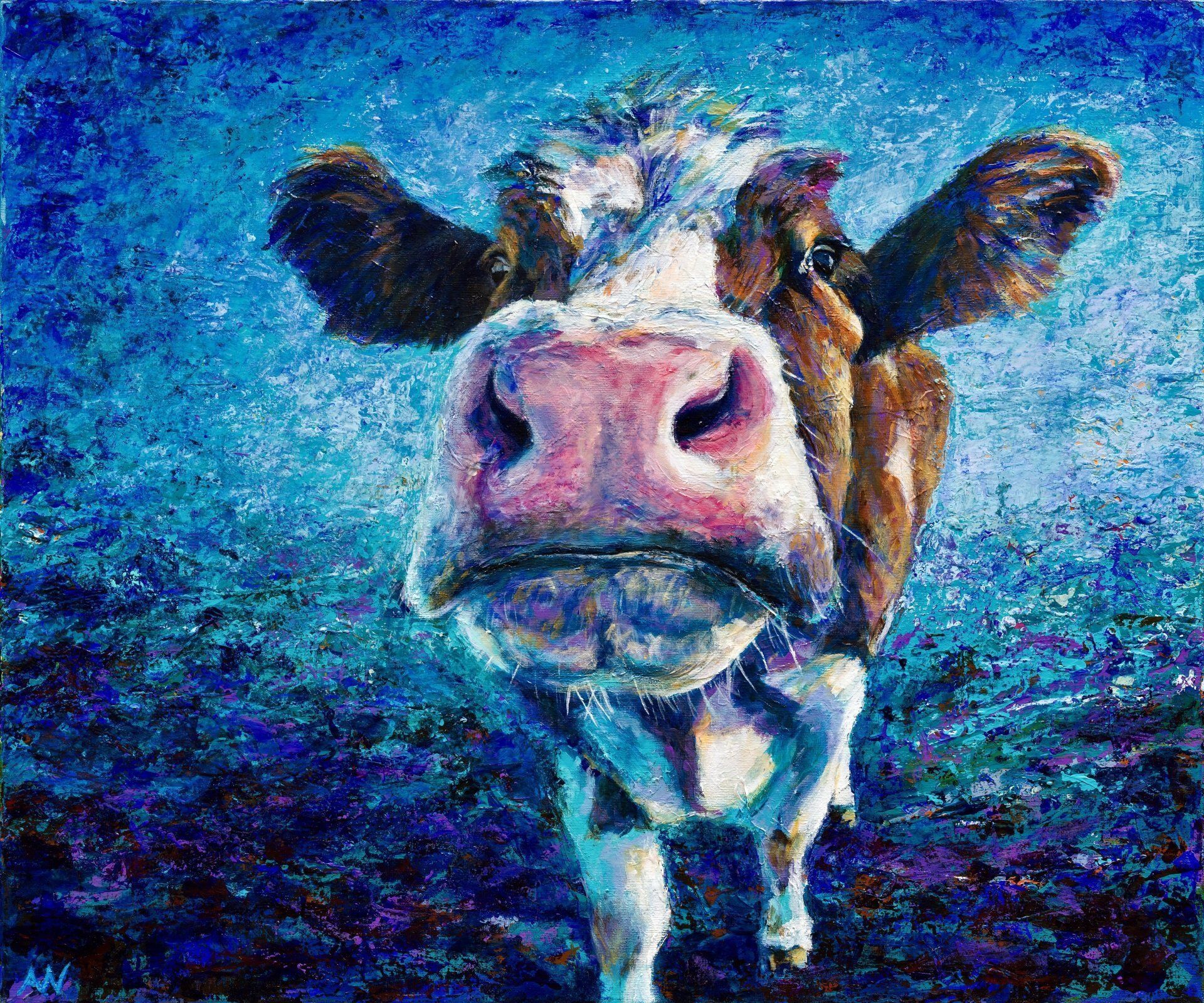 A close-up of a cow with a large pink nose, brown and white fur, and a blue background.