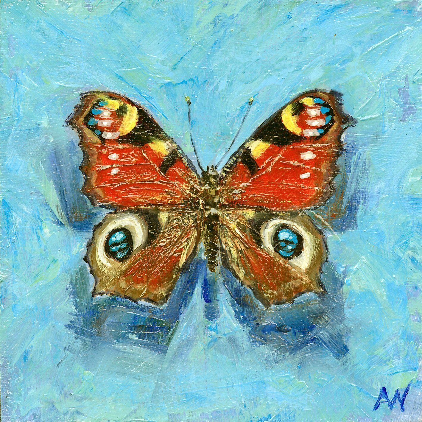 Peacock butterfly with red, yellow, and blue wing markings on a light blue background.