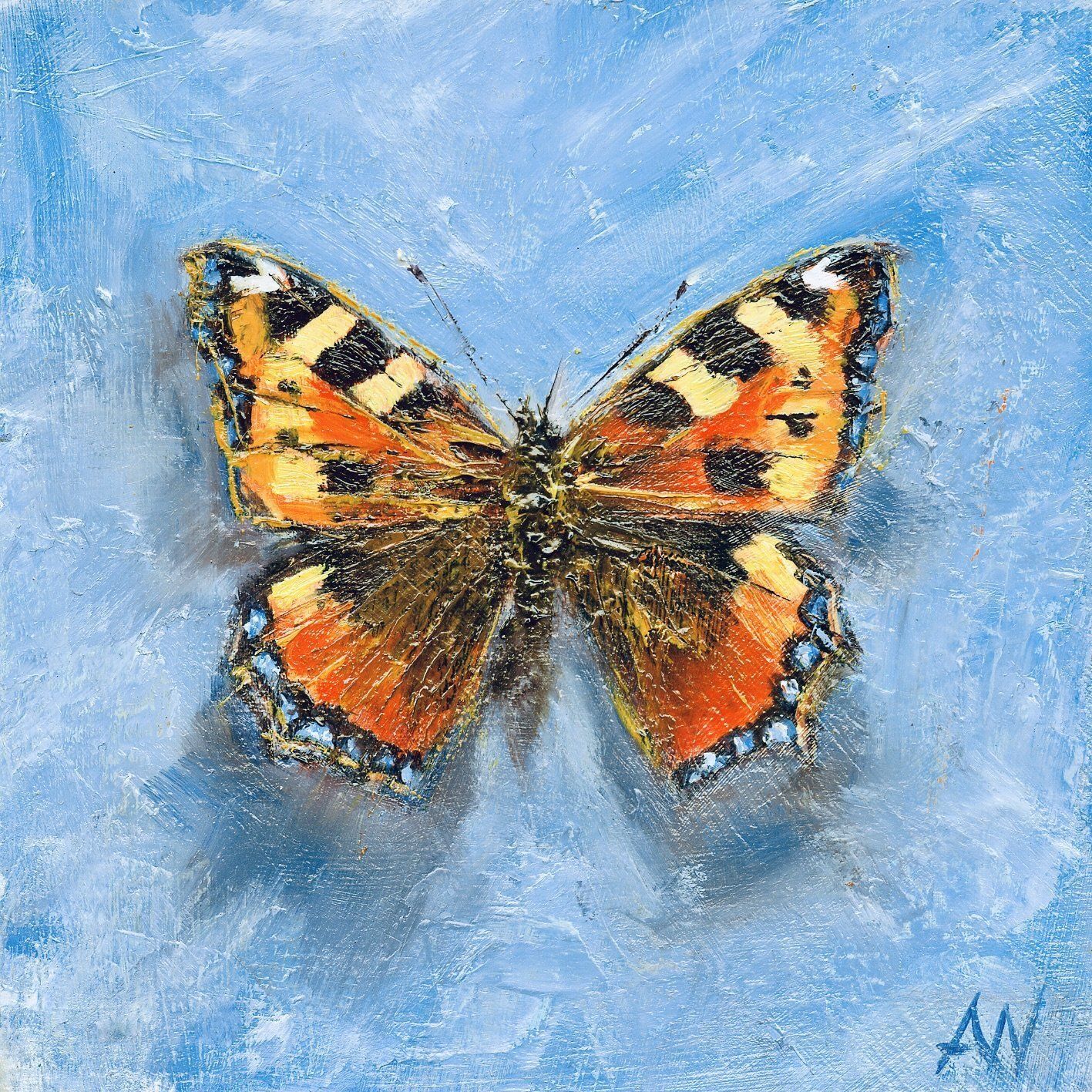 Butterfly with orange, black, and yellow wings on a blue background.