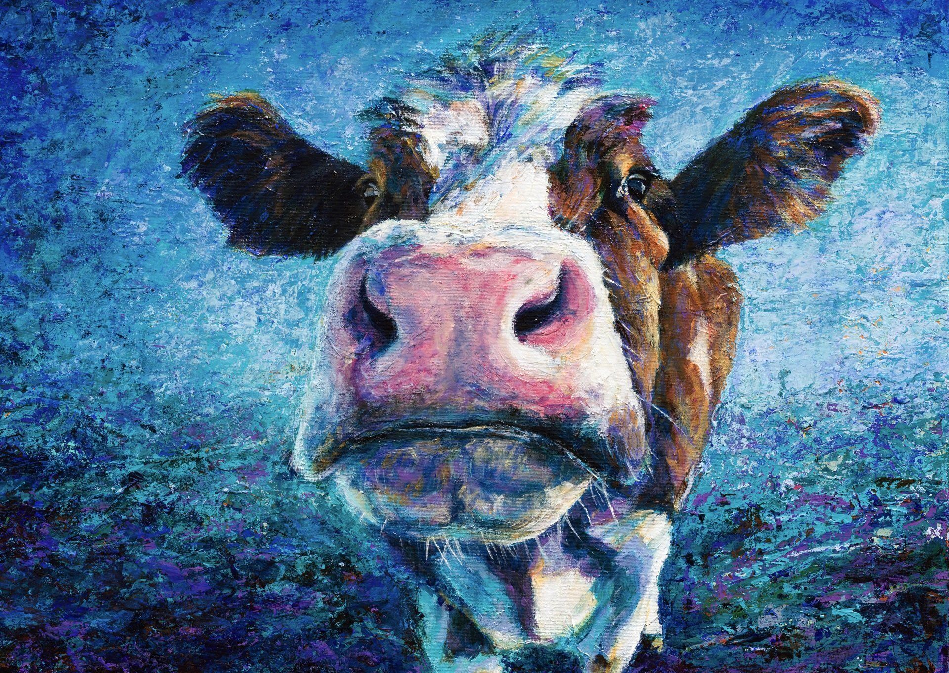 Close-up view of a cow with brown and white patches and a pink nose, set against a blurry blue background.