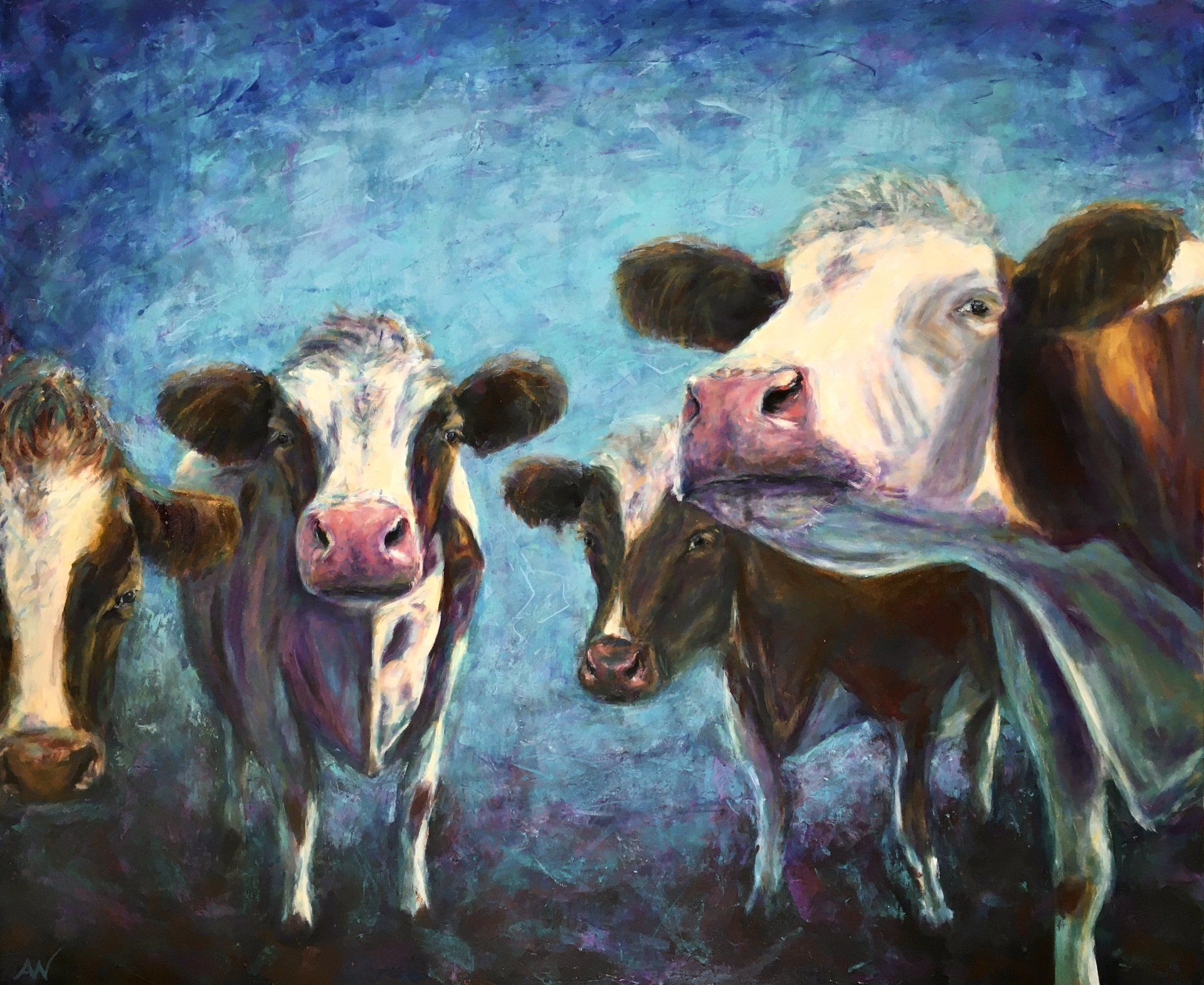 Four cows with different markings stand against a blue background, looking towards the viewer.