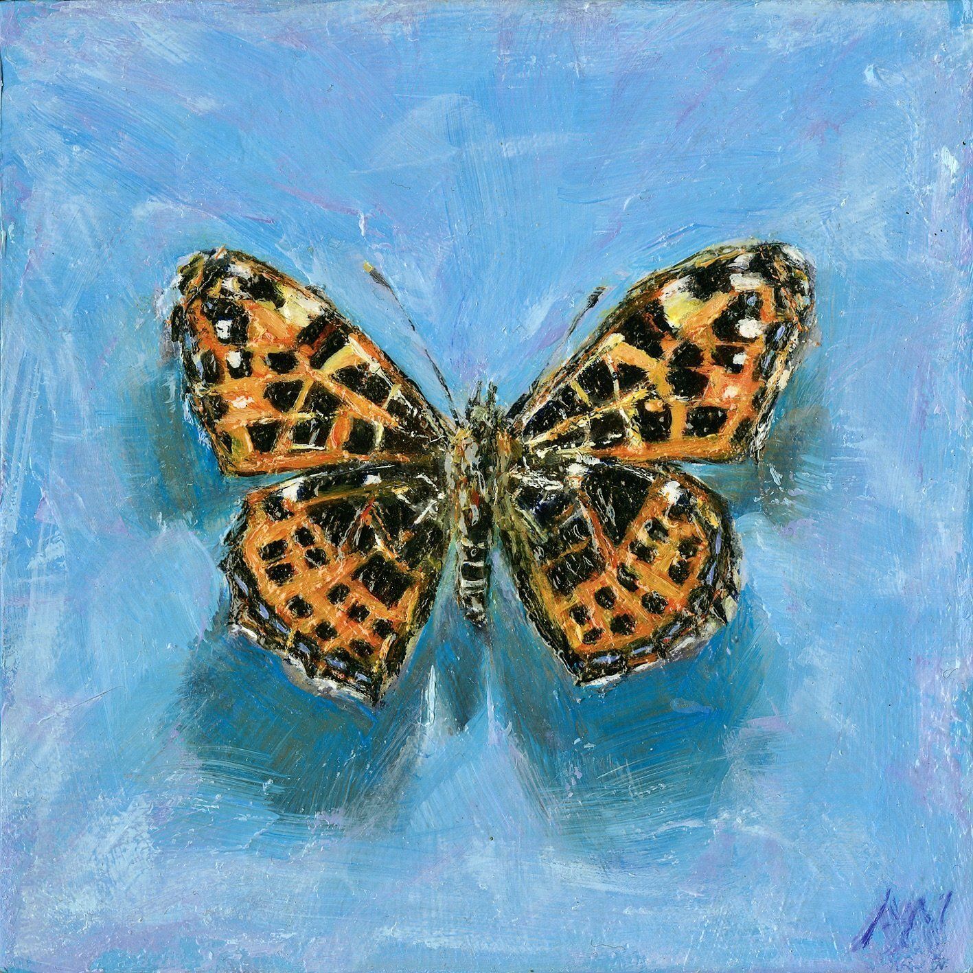 Butterfly with orange and black patterned wings on a blue background.