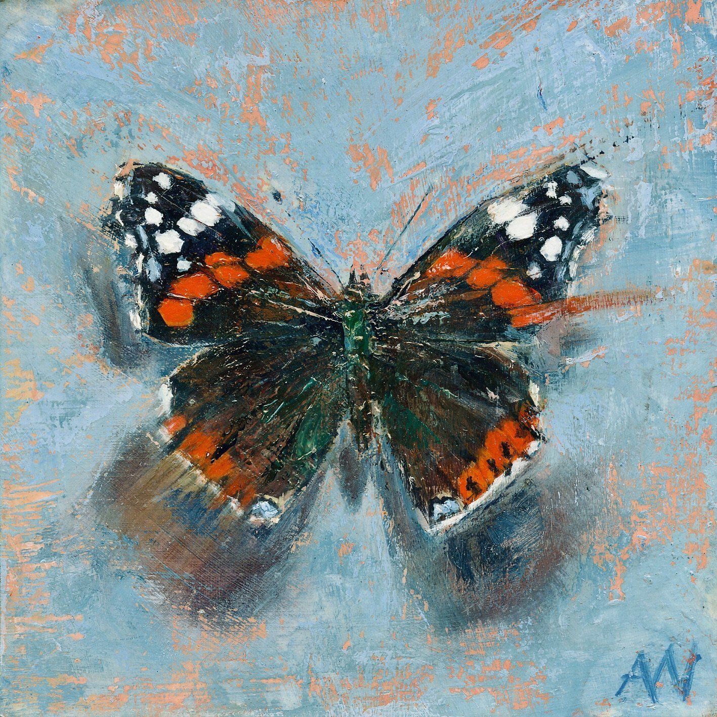 THE RED ADMIRAL / ATALANTA | Original Artwork