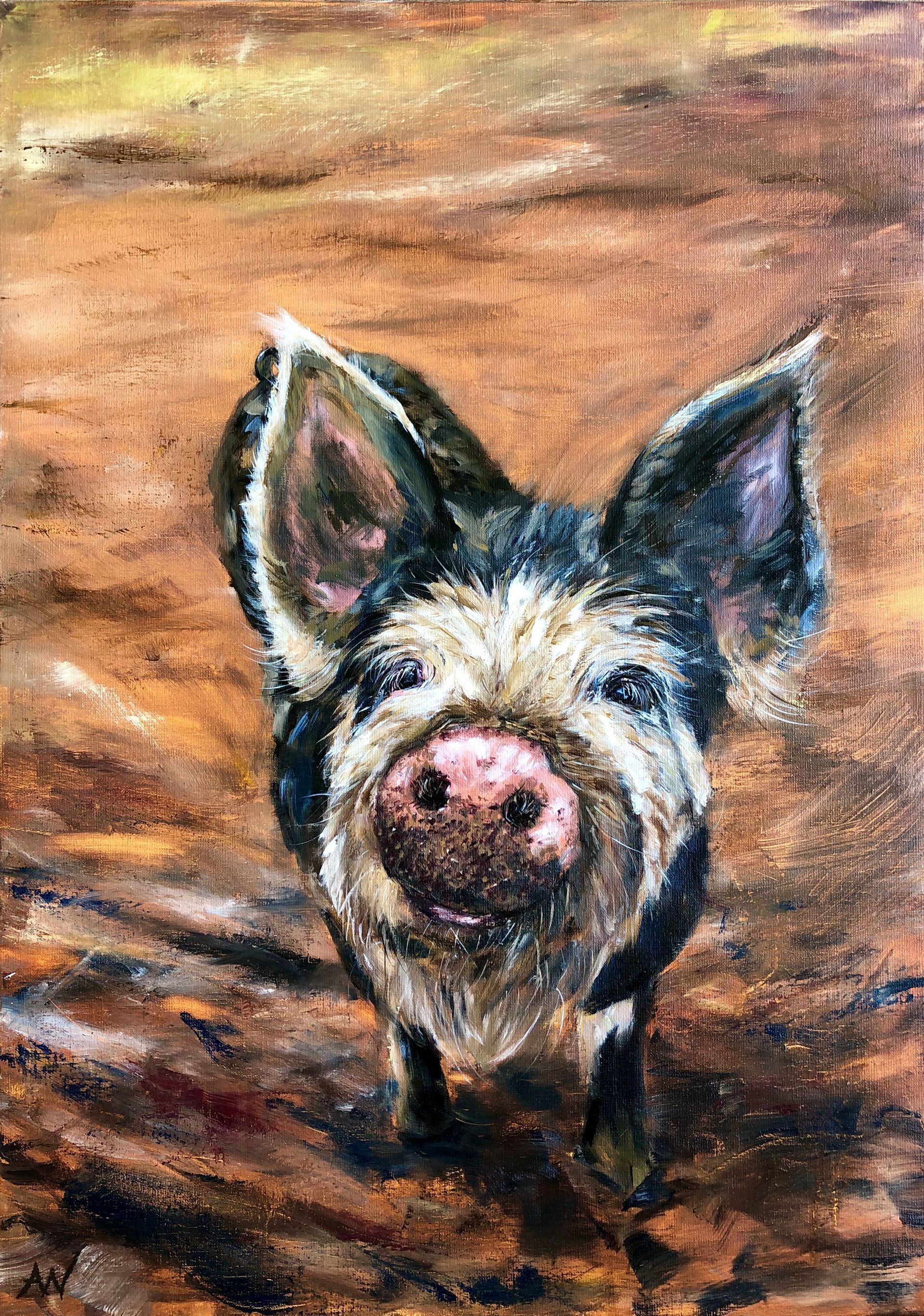 A black and white pig with a pink snout looks directly at the viewer, set in a brown, earthy environment.