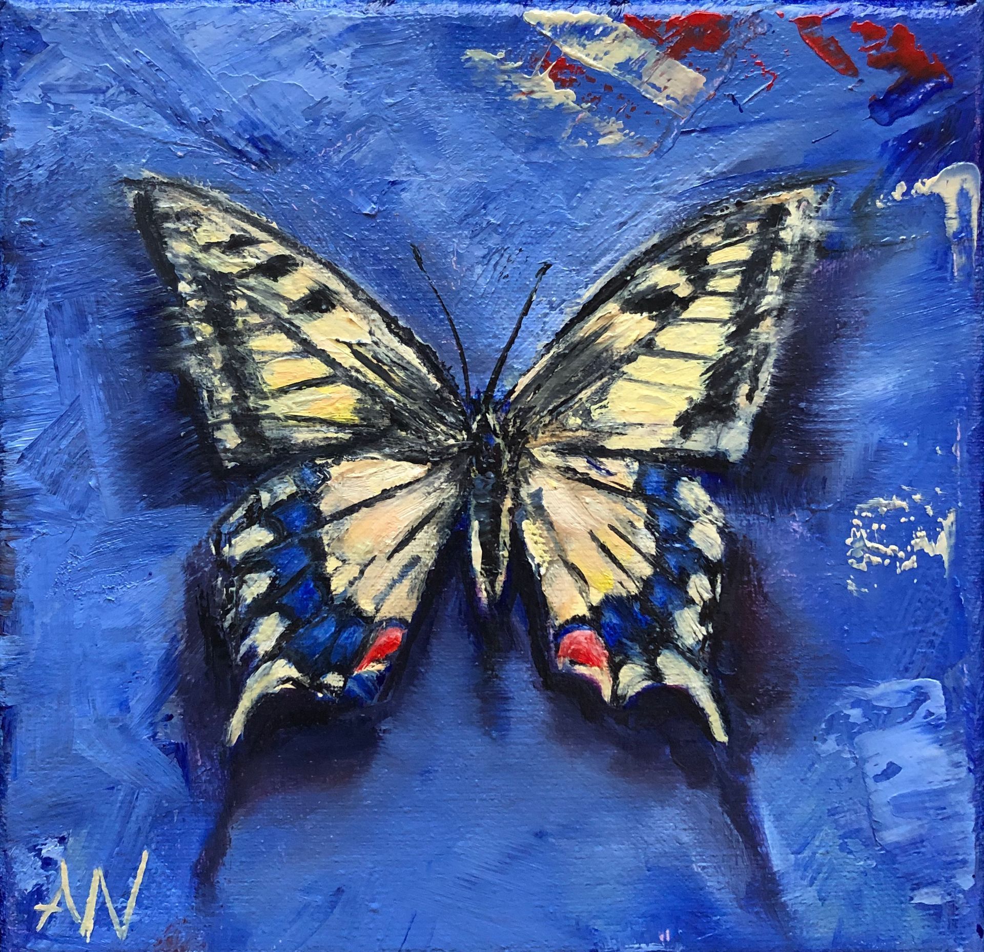 Butterfly with yellow, blue, and black markings, set against a blue, textured background.