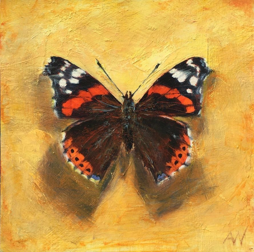 Red admiral butterfly with orange and white markings, resting on a yellow background.