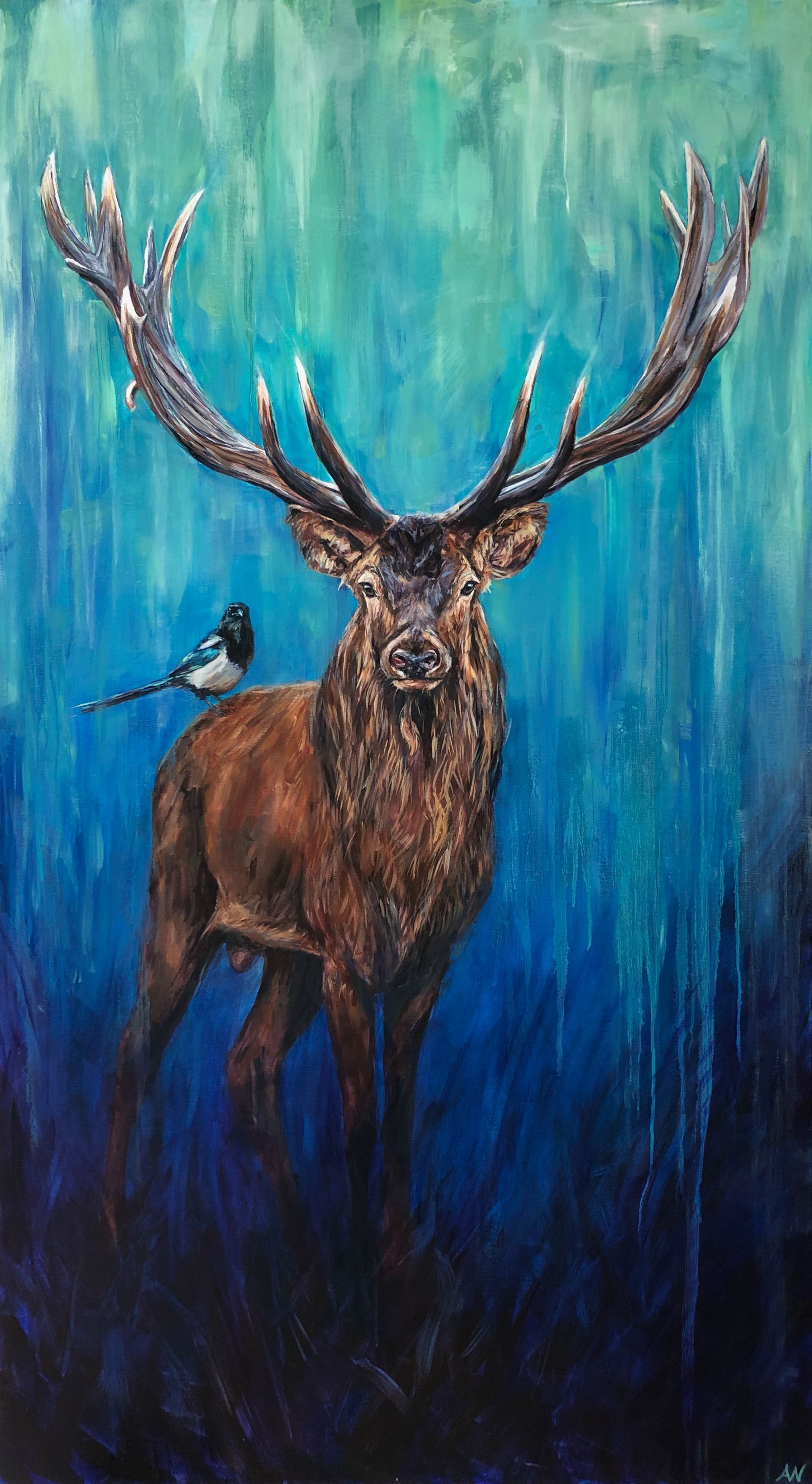 Stunning stag with large antlers, brown fur, and a black and white bird perched on its back. Blue, abstract background.