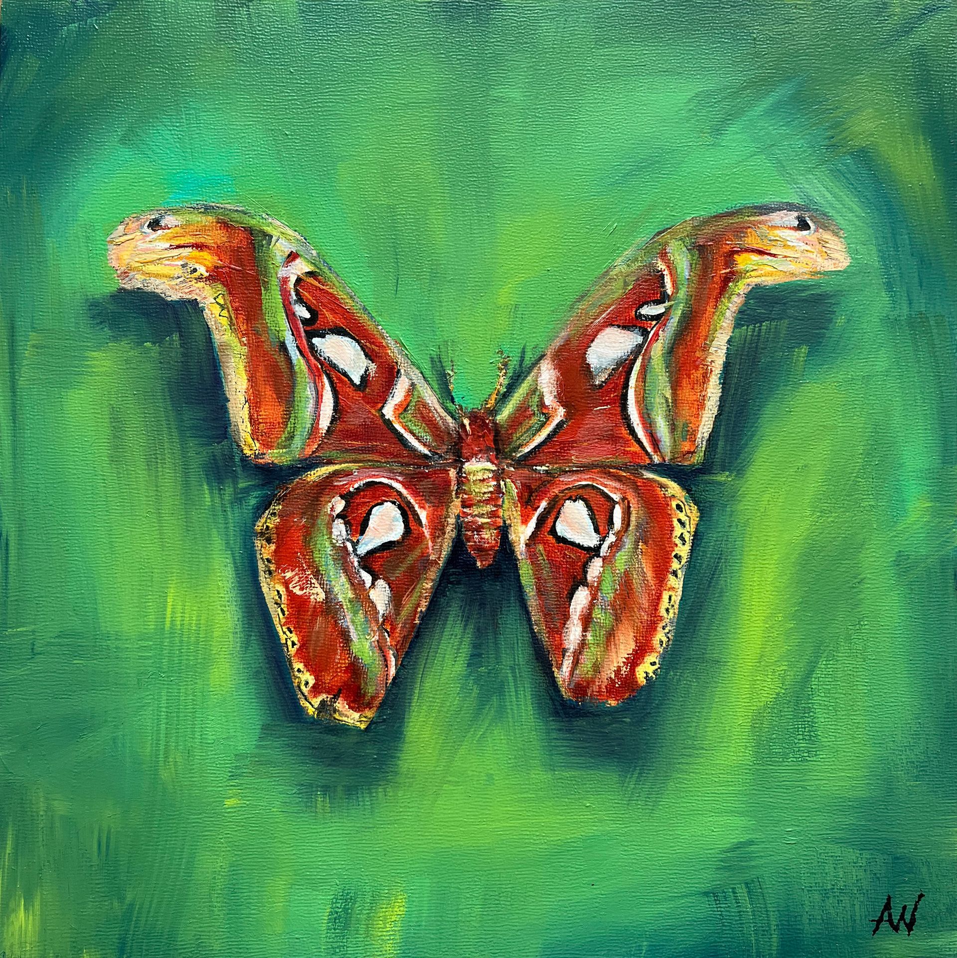 Atlas Moth on green | Original Artwork