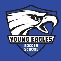 The young eagles soccer school logo is a shield with an eagle head on it.