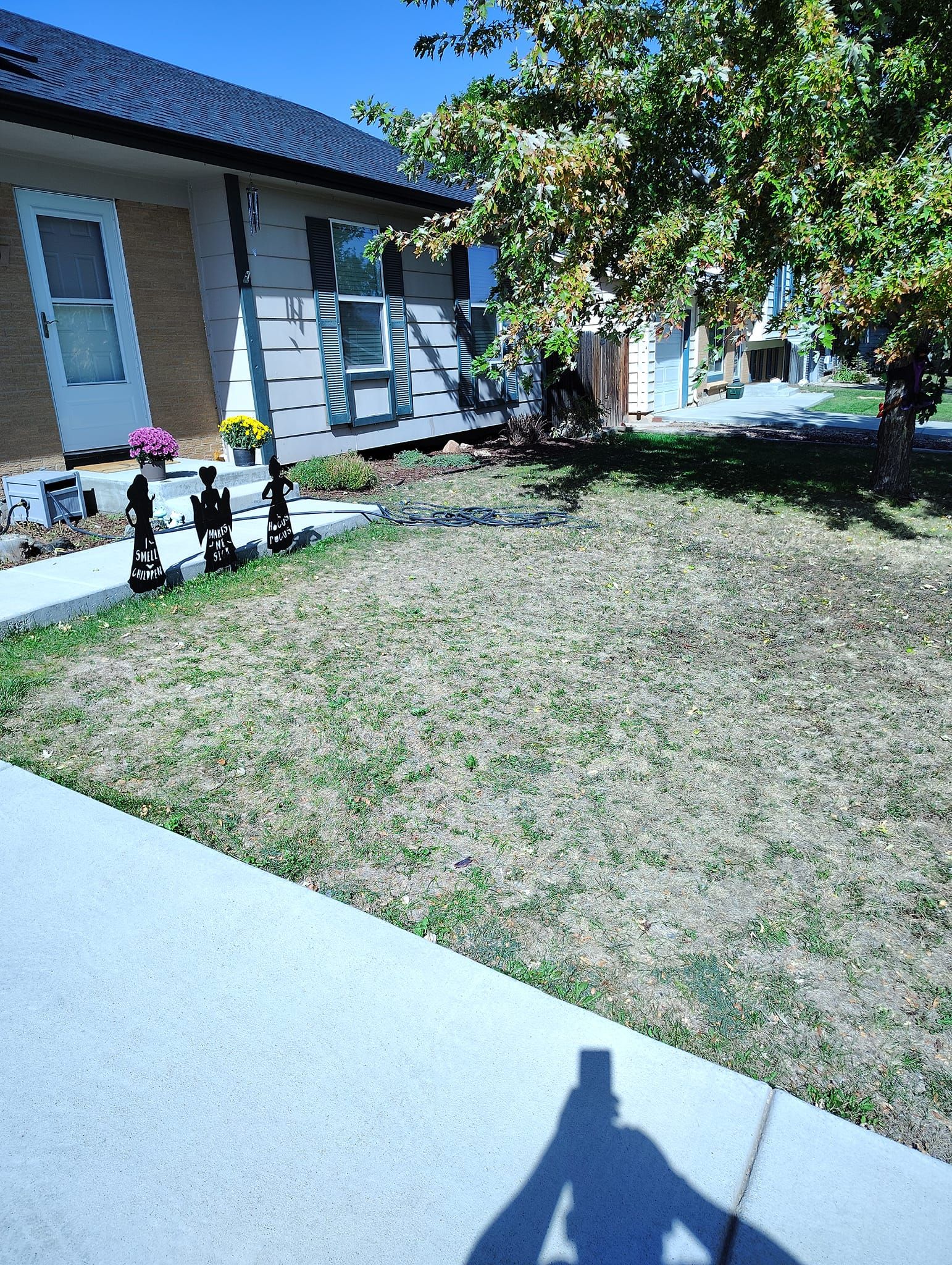 A shadow of a person is cast on the sidewalk in front of a house