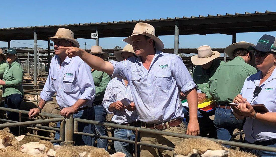 H Francis & Co images