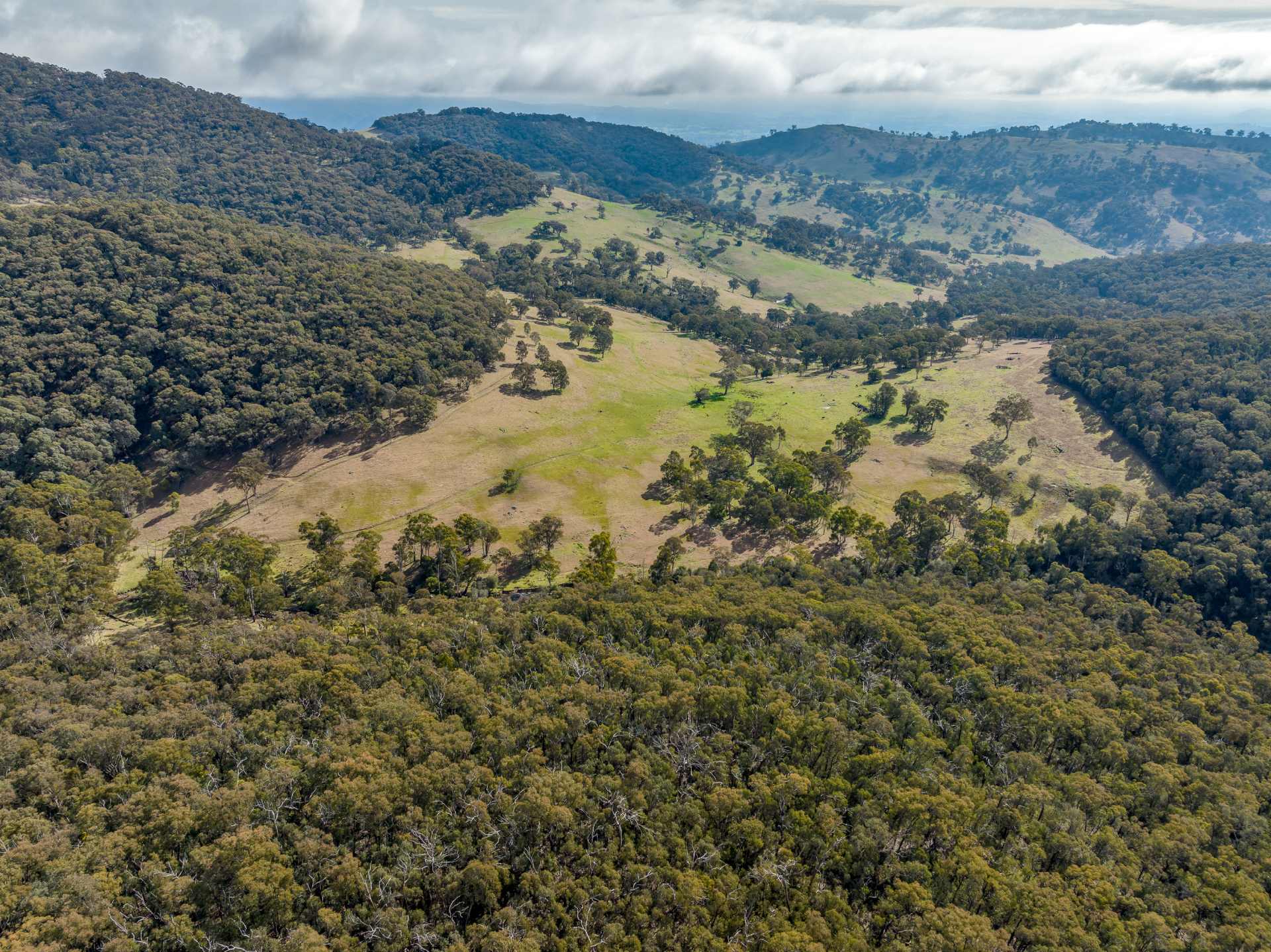 H. Francis & Co Wagga Wagga, NSW Rural Property Sales