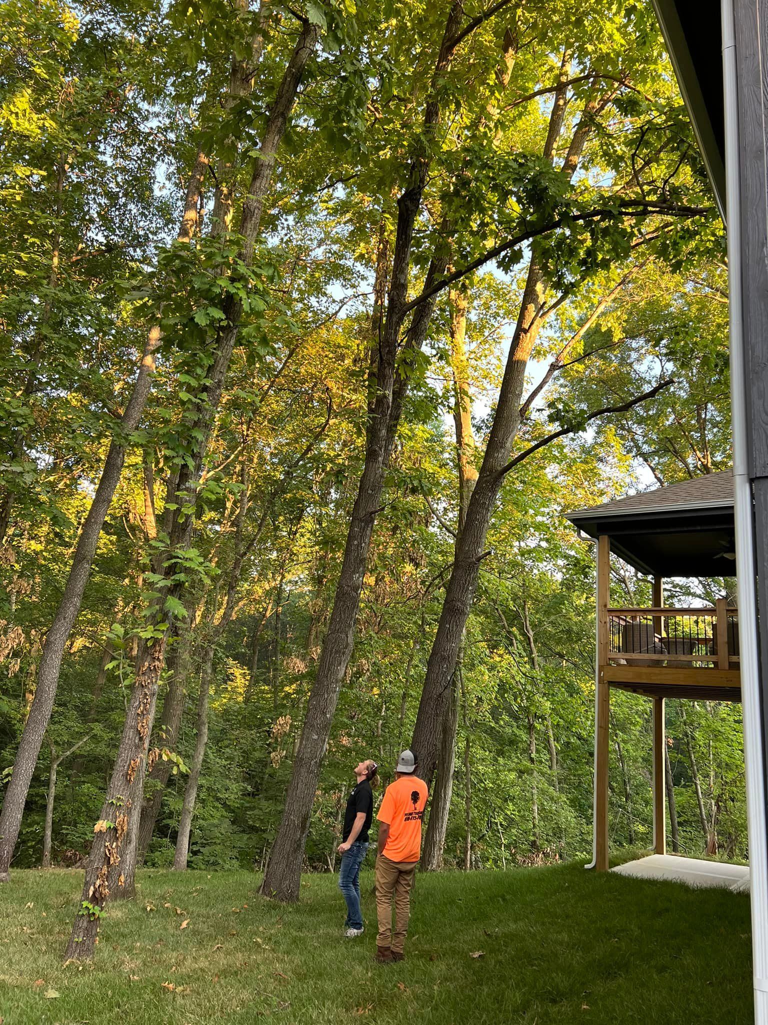 Two people standing near trees, one wearing orange, preparing to trim. Exterior shot, sunny day.