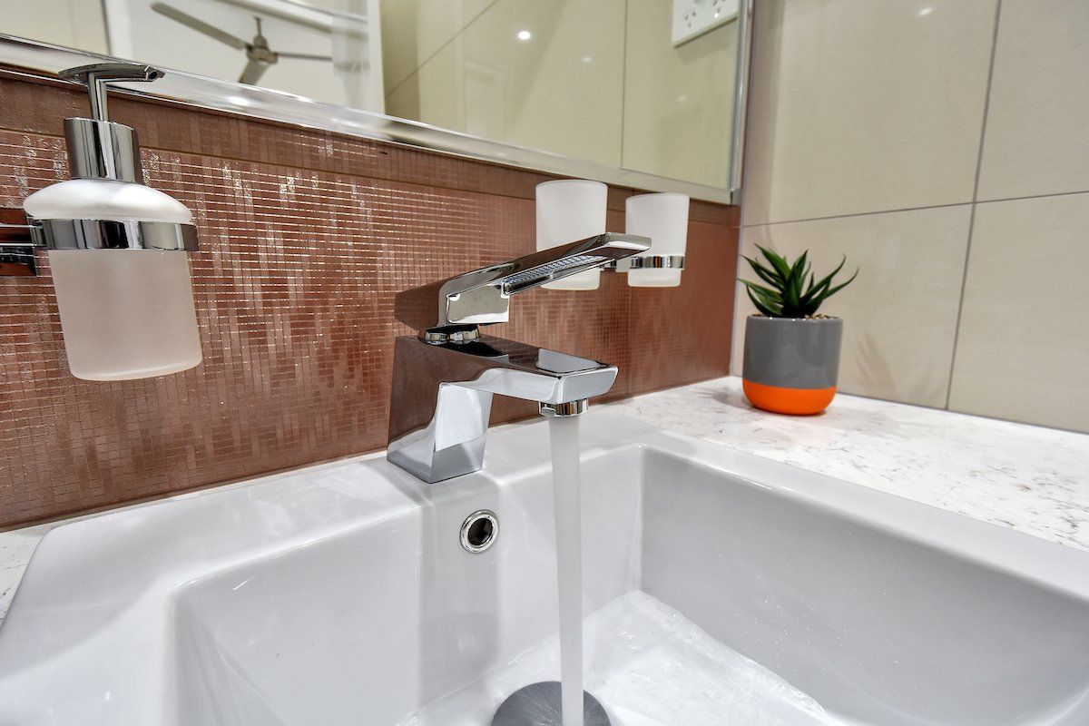 A bathroom sink with a faucet and a plant on the counter.