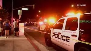 A police car is parked on the side of the road at night.