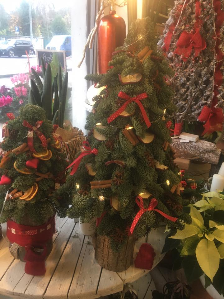 Due piccoli alberi di Natale sono appoggiati su un tavolo di legno.