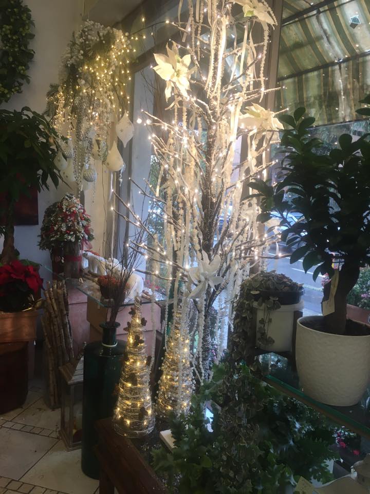 Una stanza piena di piante in vaso e decorazioni natalizie.