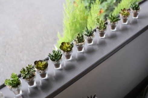 Una fila di piccole piante in vaso sul davanzale di una finestra