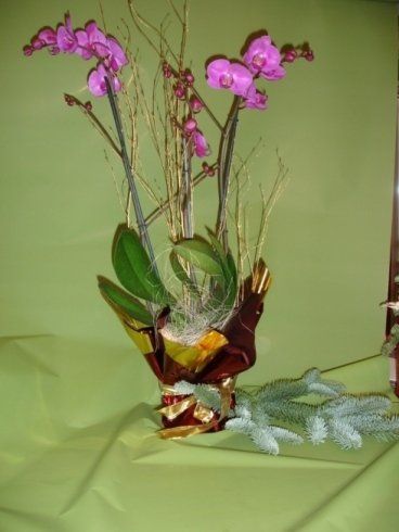 Una pianta in vaso con fiori viola su un tavolo