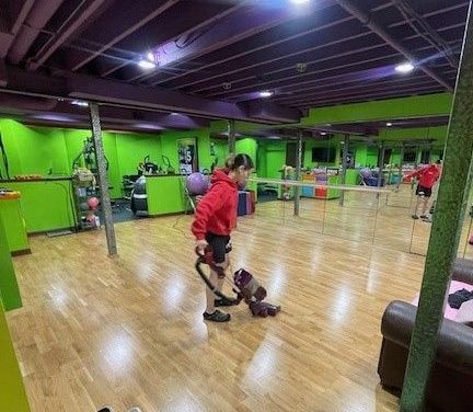 Residential Property Landscape — Erie, PA — Peterson’s Property Maintenance