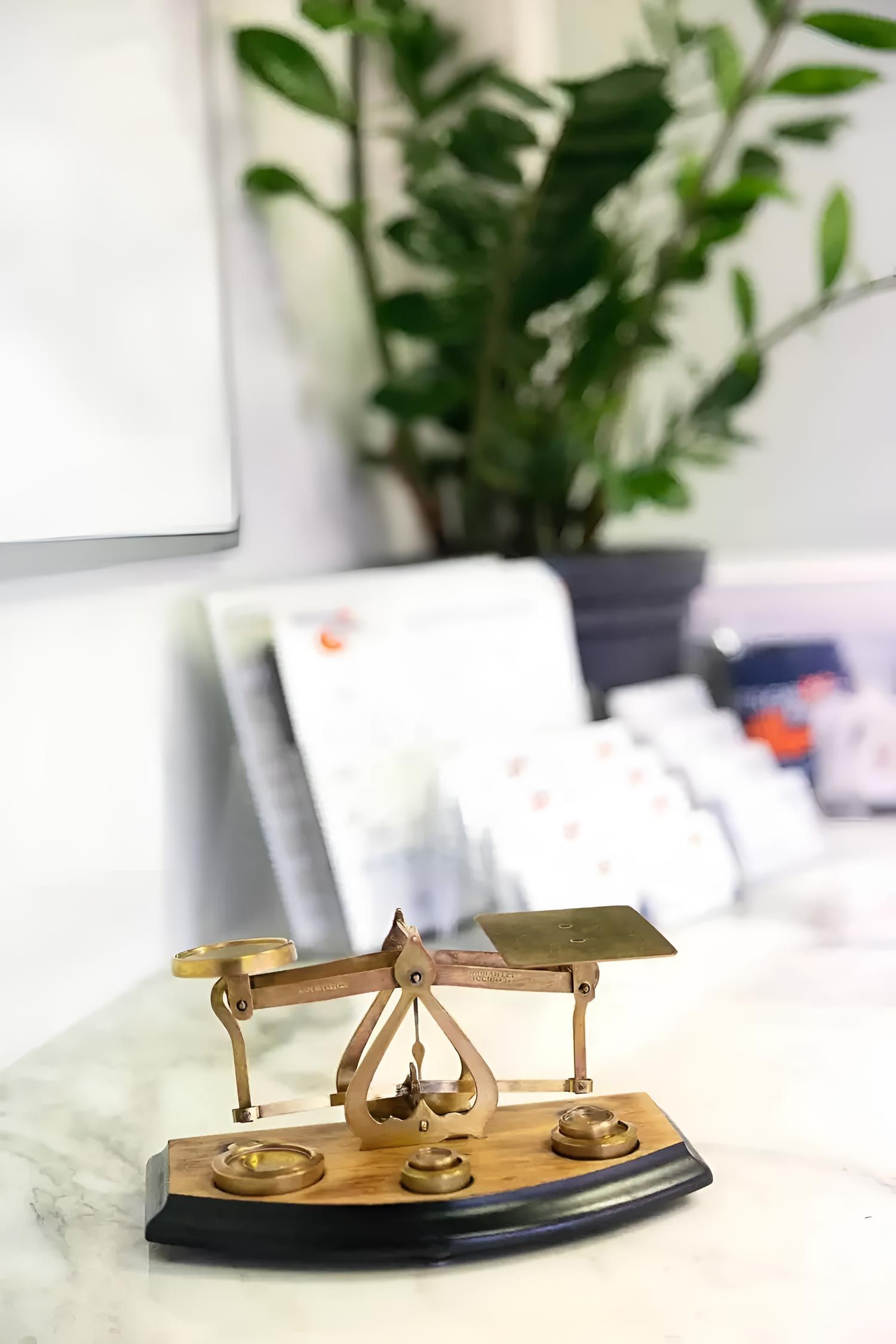 Scale Is Sitting On A Table In Front Of A Plant In The Whitson Dawson Office — Whitson Dawson Accountants in Mackay, QLD
