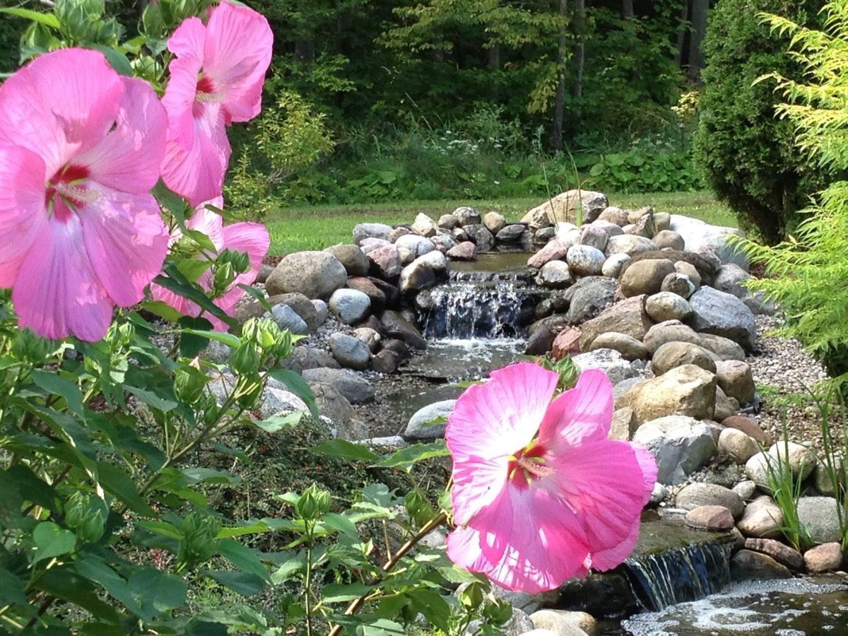 There are pink flowers in the foreground and a waterfall in the background.
