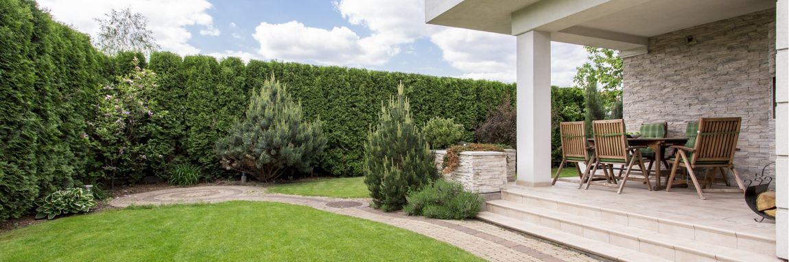 giardino abitazione con pini ornamentali