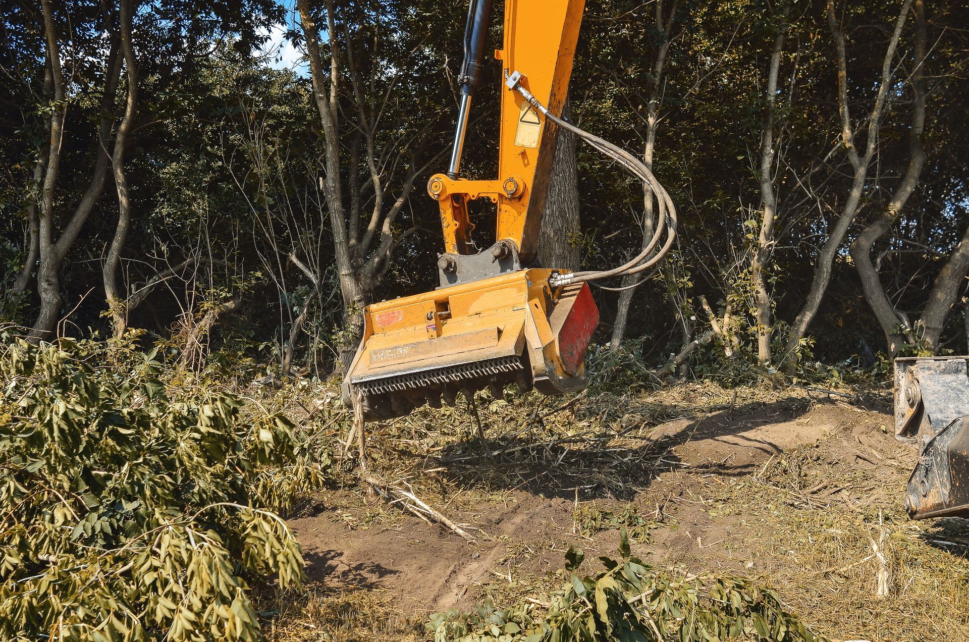 A Yellow Excavator Is Cutting Down Trees in A Forest — Escondido, CA — Stumpmasters Tree Services, Inc.