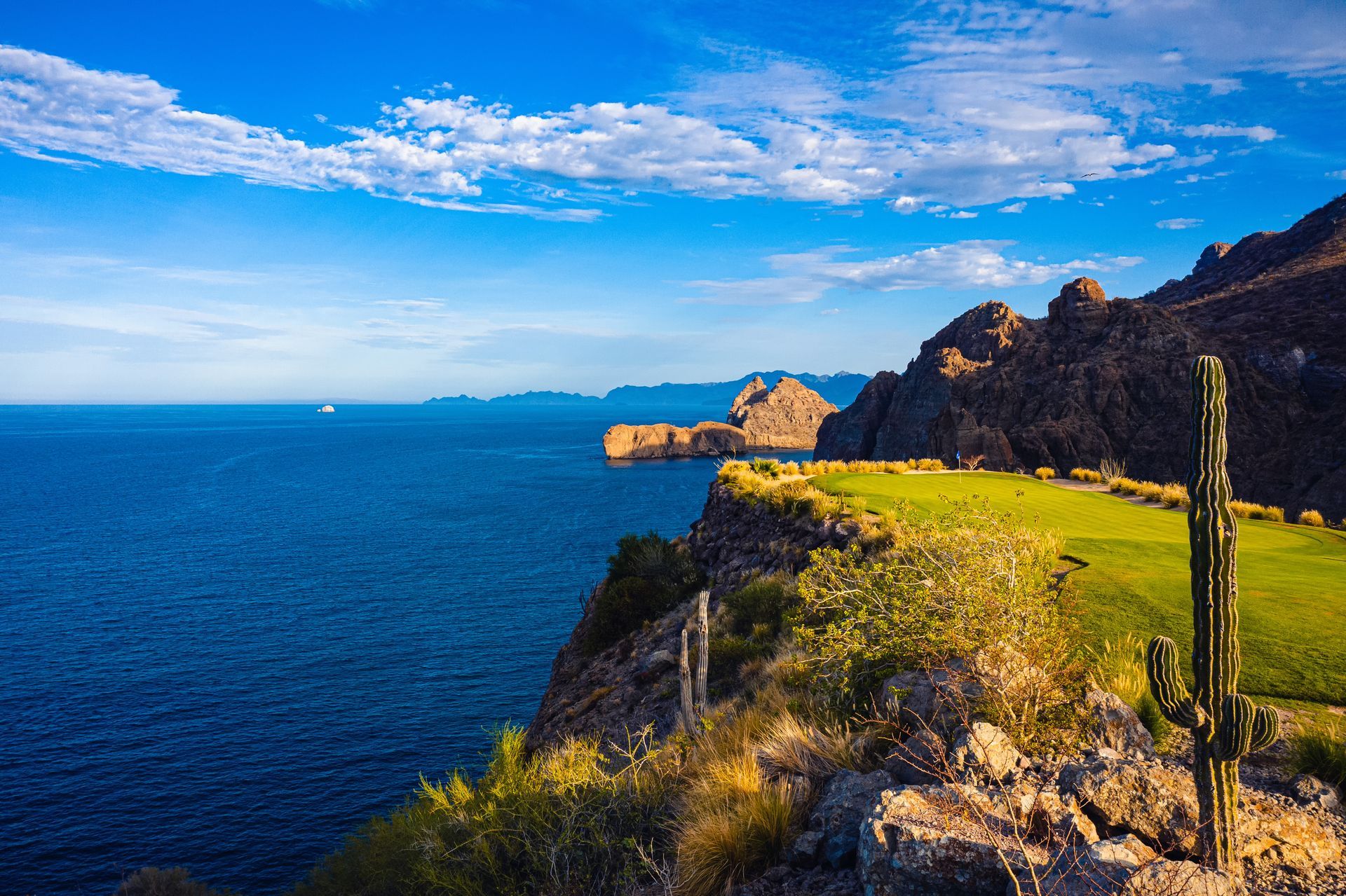A golf course on a cliff overlooking the ocean with a cactus in the foreground.