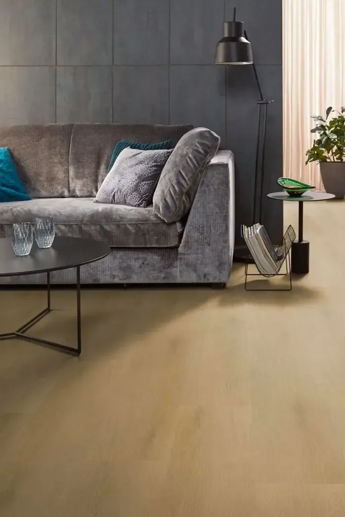 Er staat een bank en een salontafel in de woonkamer.