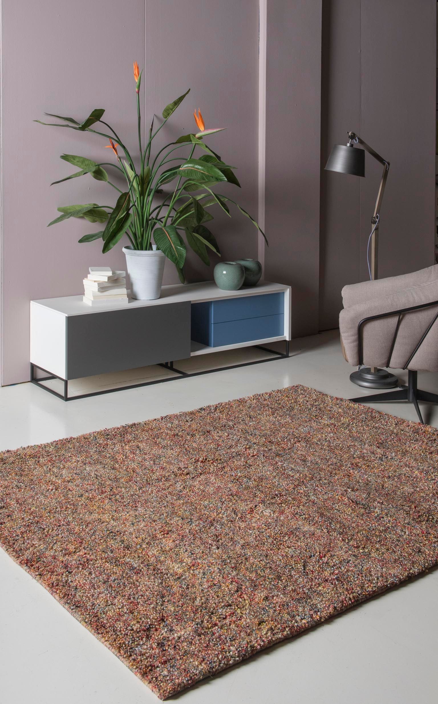 Een woonkamer met een kleed, een bank, een lamp en een plant.