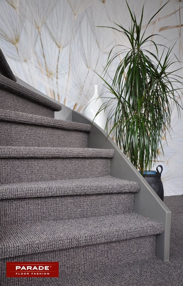 Een trap met beklede treden en een plant op de achtergrond.