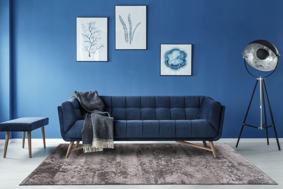 Een woonkamer met blauwe muren en een blauwe bank.