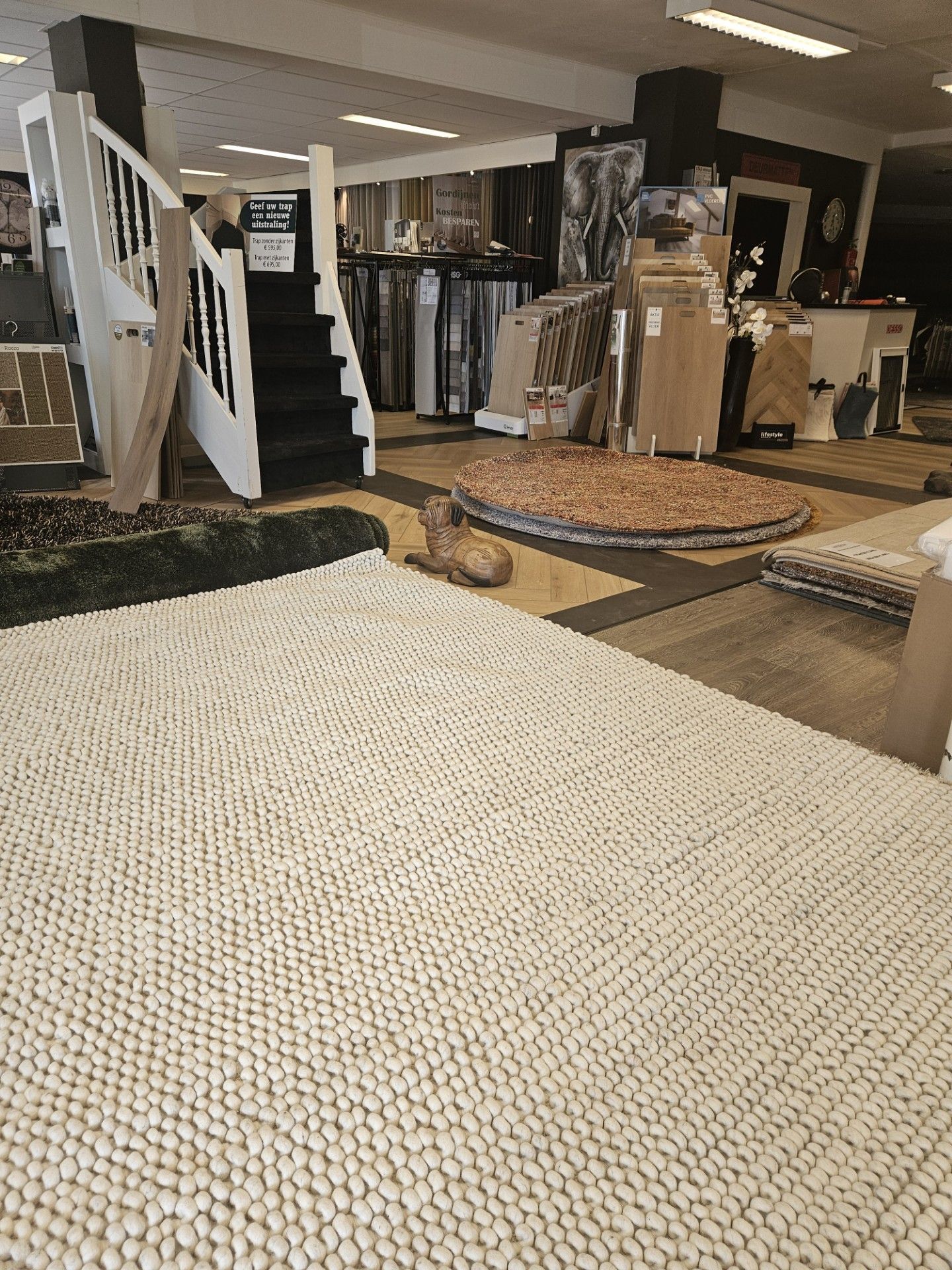 Een kat ligt op een kleed in een winkel.