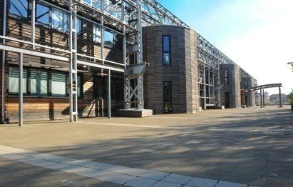 analisi di un olio al microscopio