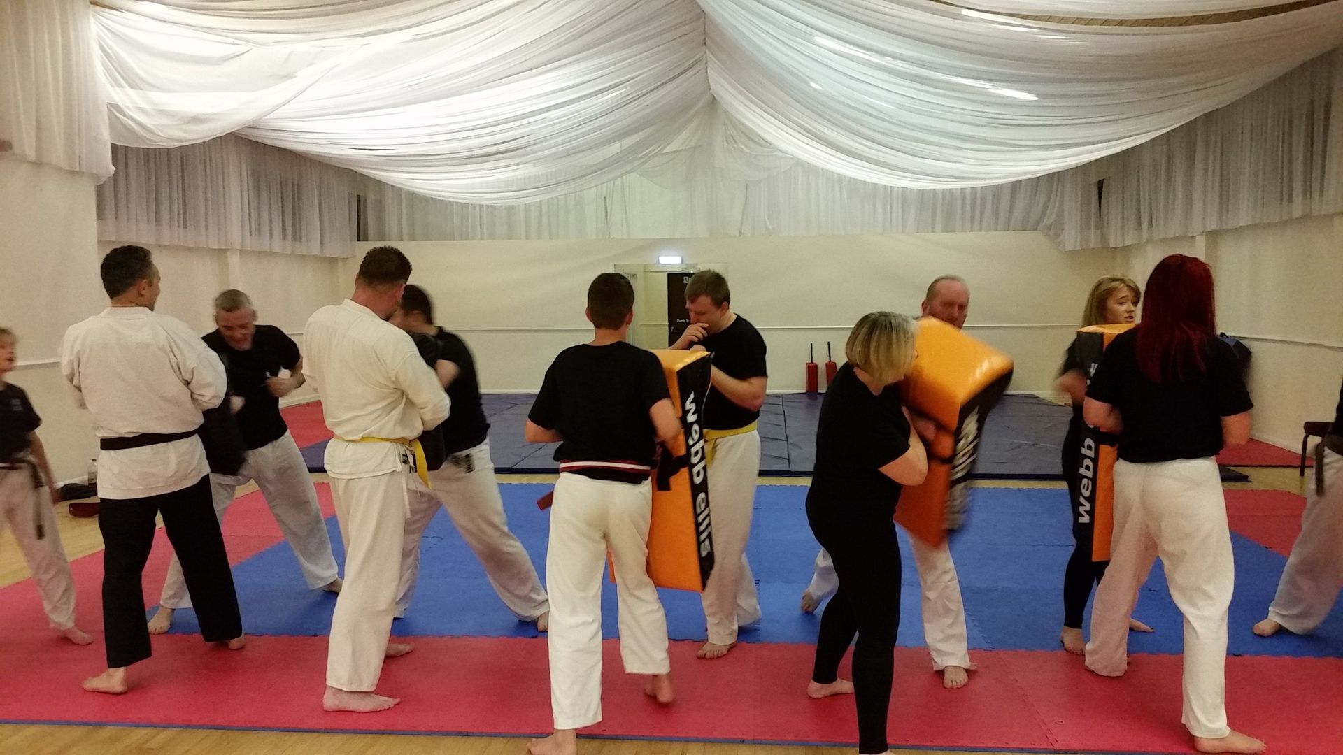 A group of people are practicing martial arts in a gym.