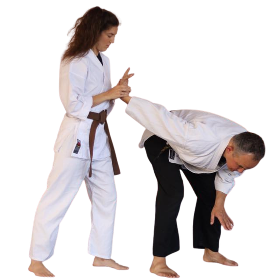 Ju Jitsu Instructor