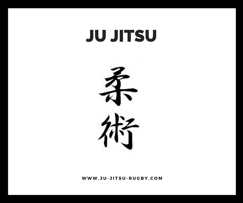 Ju jitsu is written in chinese characters on a white background.