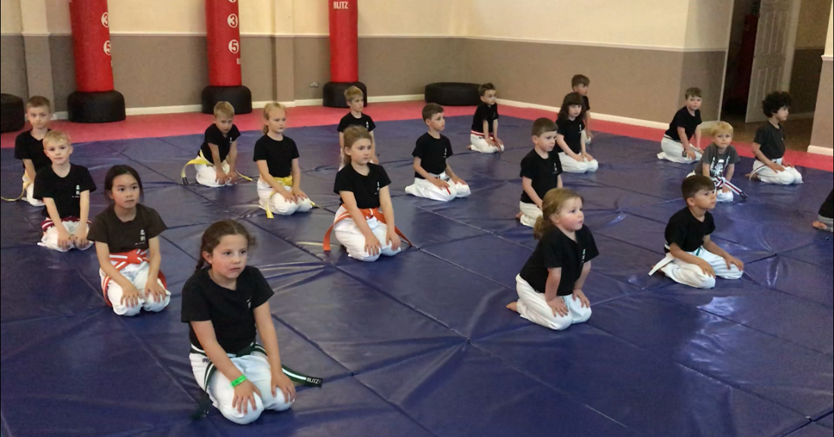 Little dragons program