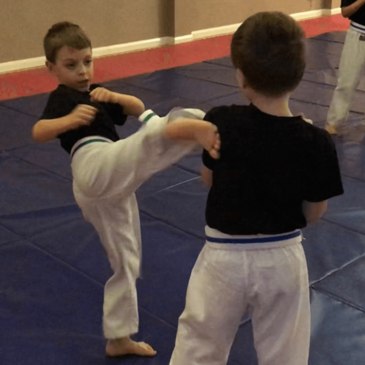 Two young boys are practicing martial arts on a mat