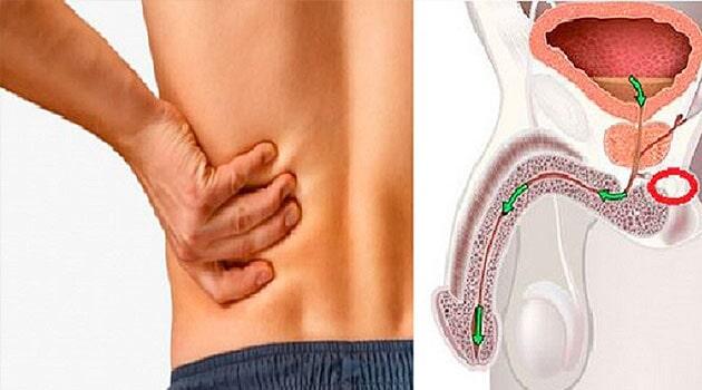 Dr. Julio Cesar Uriostegui