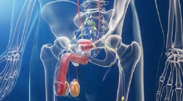 Dr. Julio Cesar Uriostegui