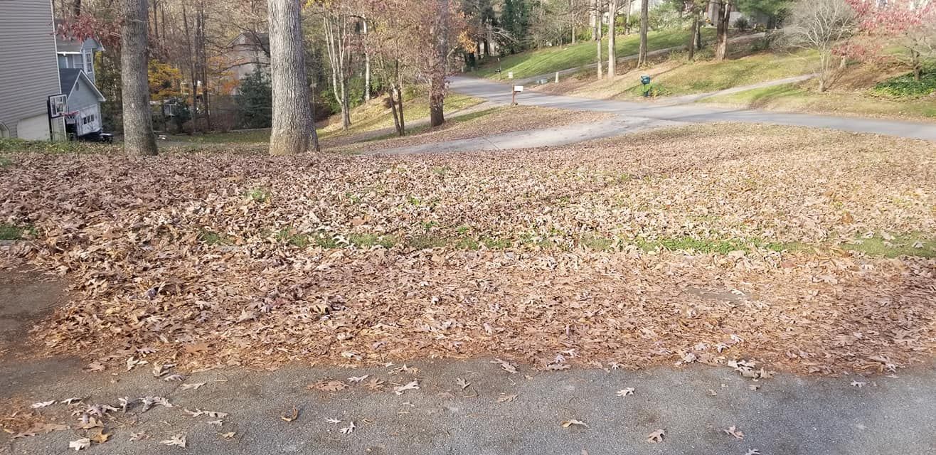 A pile of leaves on the side of a road