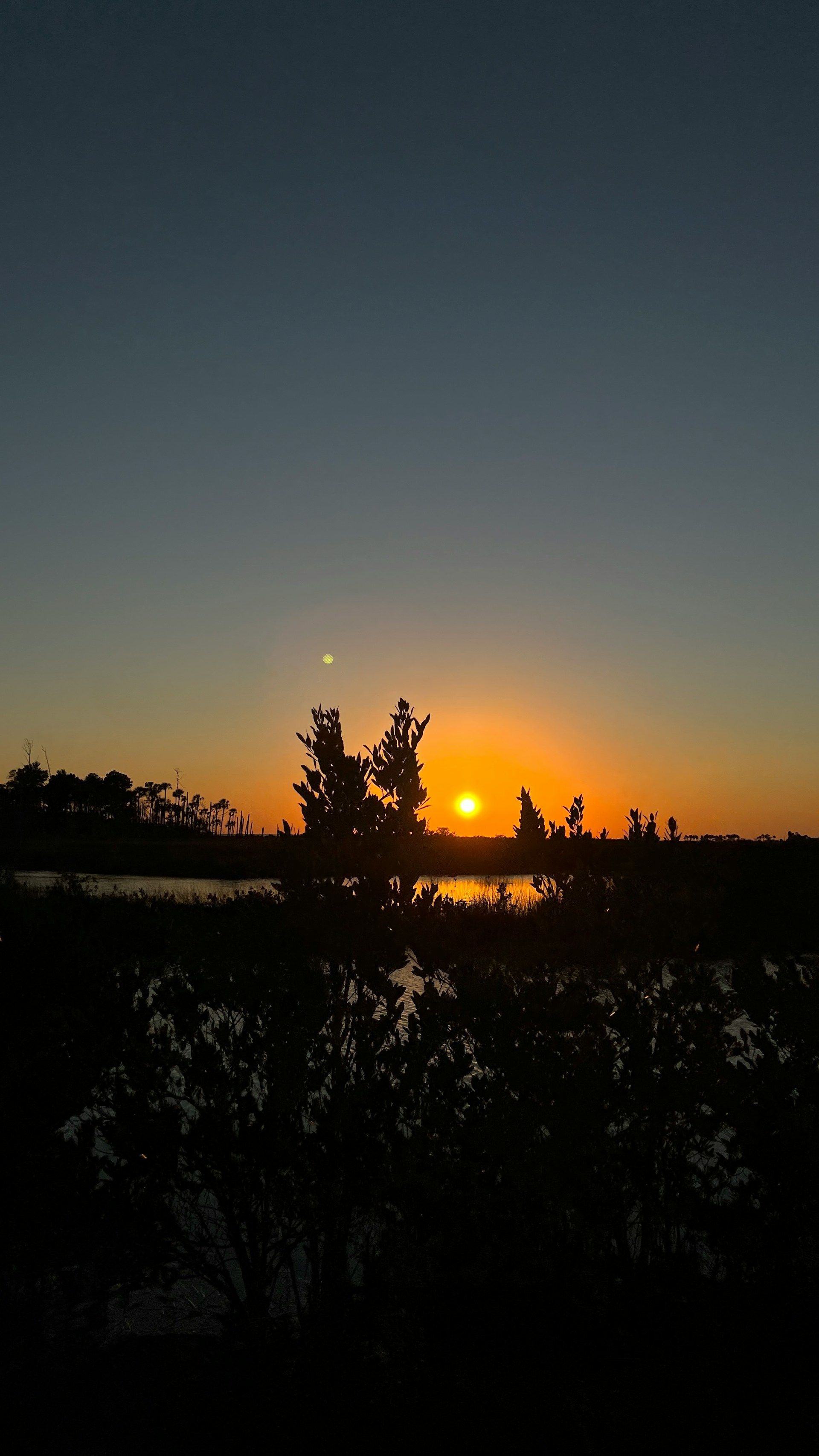 Sunset over water, silhouetted trees in foreground, dark blue and orange sky.