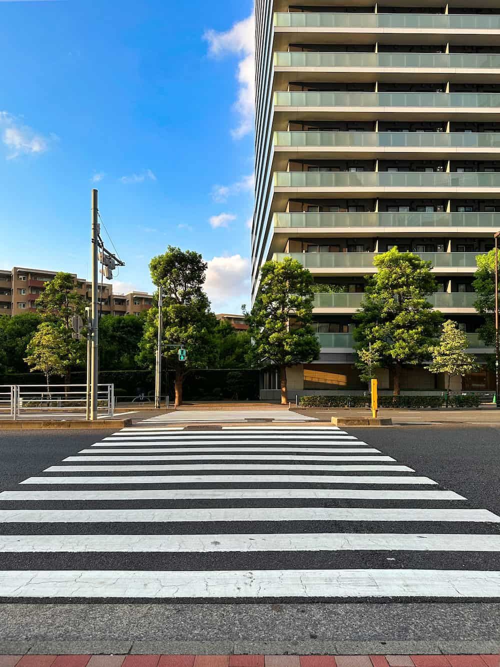 Crosswalk in front of a tall building and trees under a blue sky.